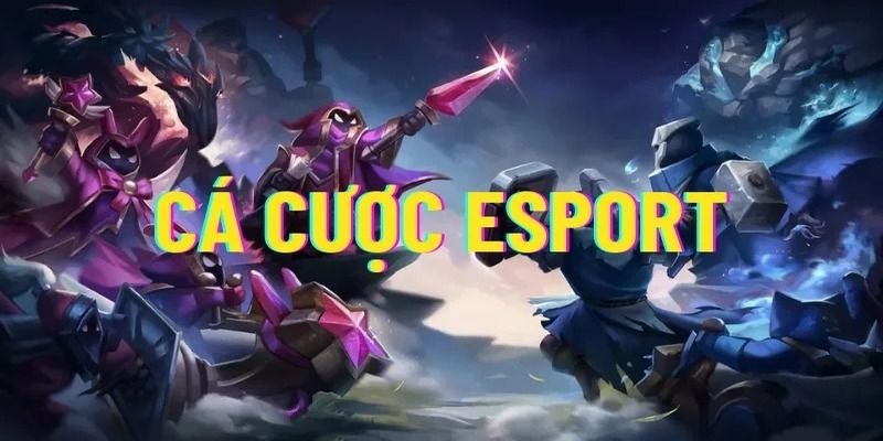 Anh em hiểu biết gì về chuyển mục E-sport ?